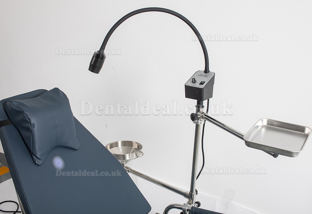 Greeloy GU-P101 Updated Adjustable Portable Dental Folding Chair with Portable Exam Light GU-P102